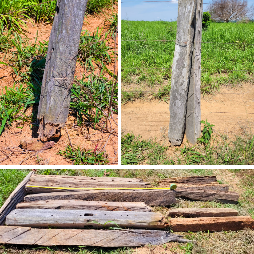 Moirões de cerca corroídos na base, fotos reais documentando o problema.