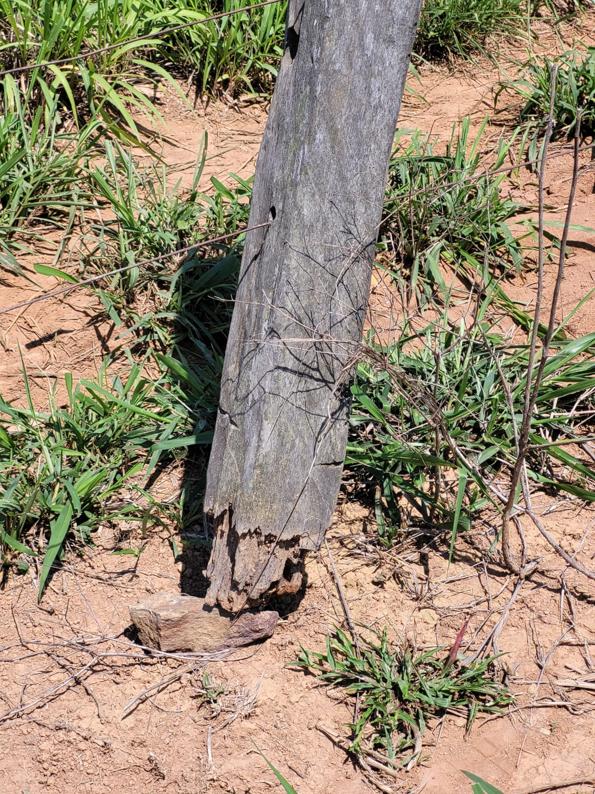 Detalhe do moirão de itaúba corroído na zona de contato com o solo.